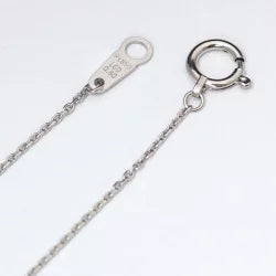 【ALTRO】プラチナ ラボグロウンダイヤ フレームレス 1.0ct ネックレス