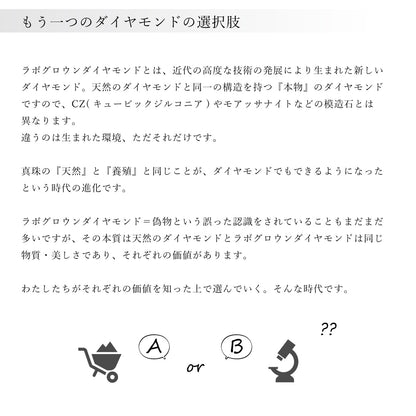【ALTRO】K18 プラチナ ラボグロウンダイヤ 計1.3ct フレームレス ダイヤ フックピアス