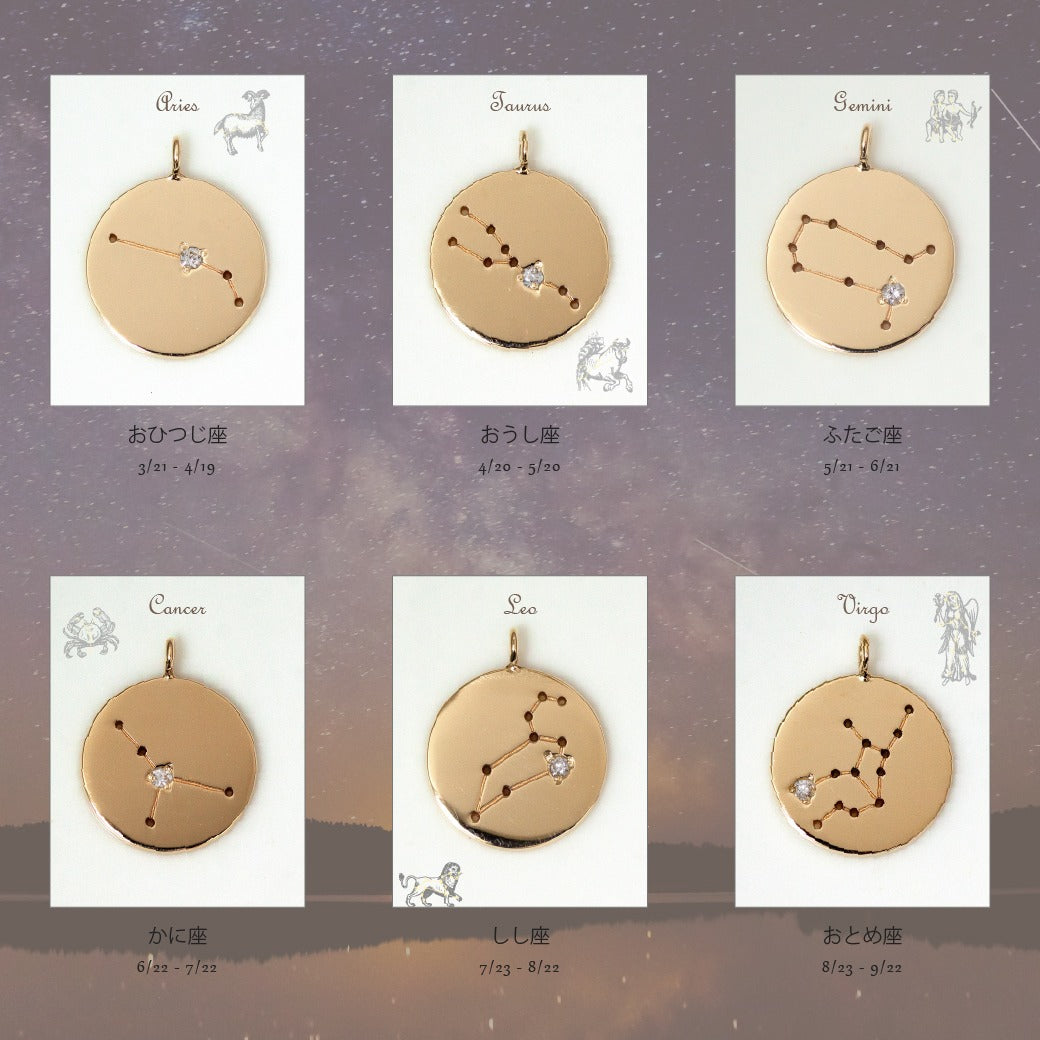 K10  The Zodiac Sign 12星座 コインネックレス　