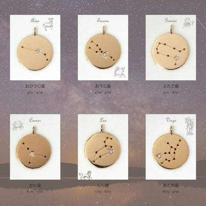 K10  The Zodiac Sign 12星座 コインネックレス　