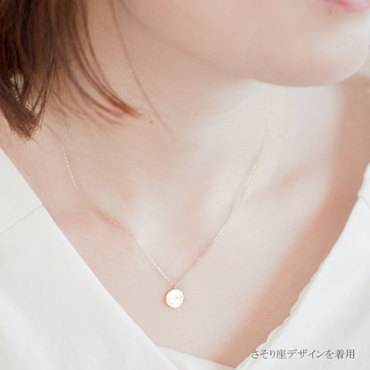 K10  The Zodiac Sign 12星座 コインネックレス　