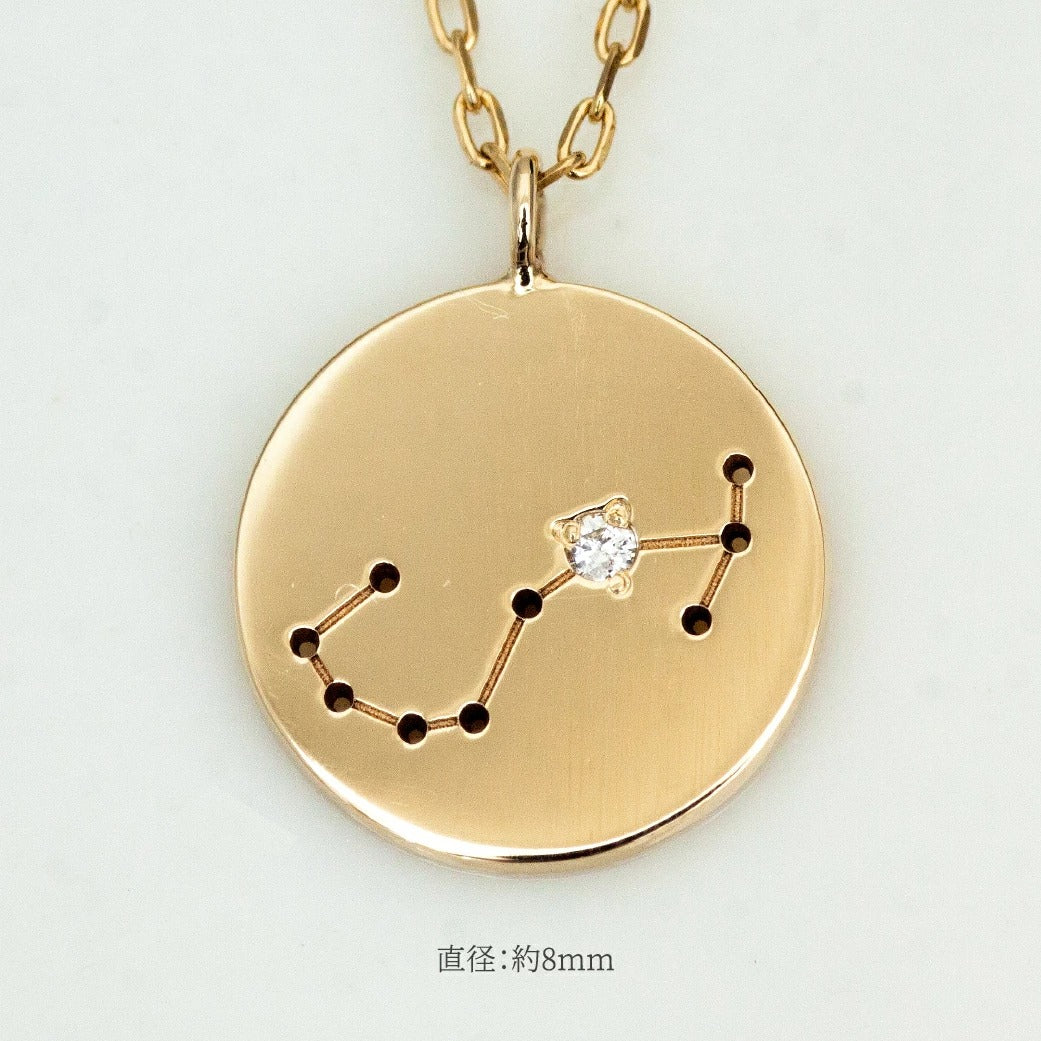 K10  The Zodiac Sign 12星座 コインネックレス　