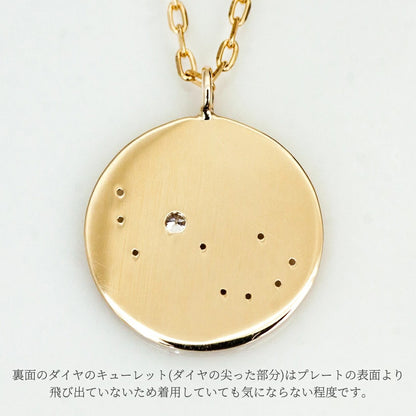K10  The Zodiac Sign 12星座 コインネックレス　