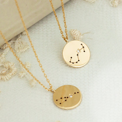 K10  The Zodiac Sign 12星座 コインネックレス　