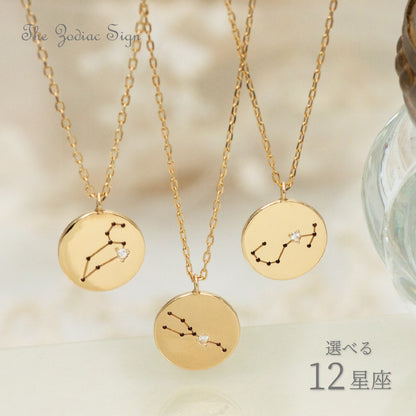 K10  The Zodiac Sign 12星座 コインネックレス　