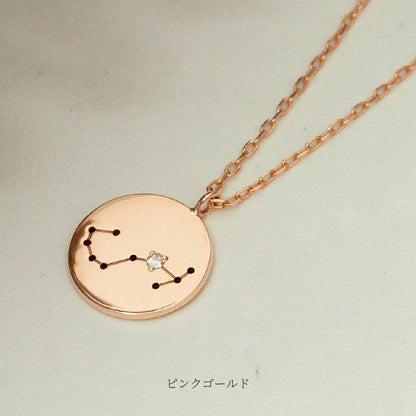 K10  The Zodiac Sign 12星座 コインネックレス　