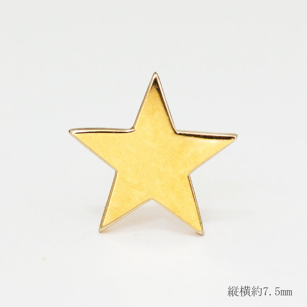 K10  オーダー イニシャルピアス スター　